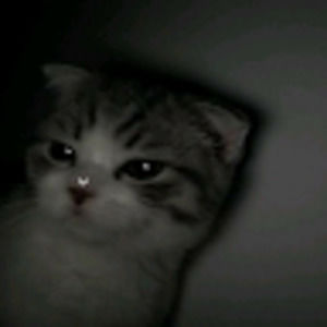 Meet your Posher, Kay